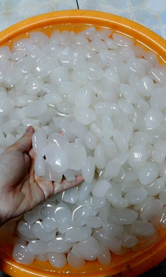 Theo các nhà nghiên cứu, những bệnh nhân có huyết áp cao thường có mức độ kali thấp. Vì vậy, ăn hạt đác thường xuyên có thể khá hiệu quả trong việc điều hòa huyết áp do nồng độ cao kali và axit lauric.