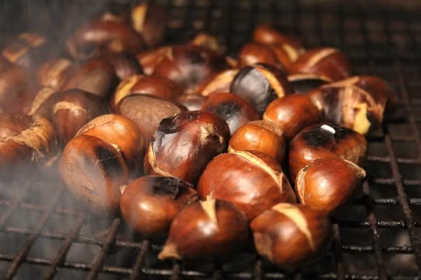 Bài thuốc chữa ho gà từ hạt dẻ, kết hợp với 50g bí đao, râu ngô 10g. Đun sôi lấy nước hòa đường phèn uống cũng được đánh giá là rất công hiệu.