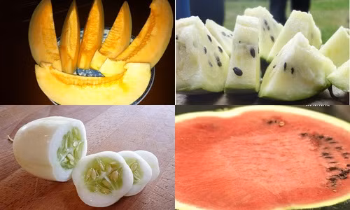 Đầu hè 2017, trên thị trường xuất hiện nhiều loại dưa lạ đang rất hút khách. Hầu hết những loại dưa này đều ngon ngọt, hình thức bắt mắt nên được các bà nội trợ khá yêu thích.