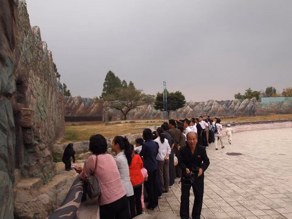 Trong những năm qua đã có nhiều câu chuyện kể về các màn trình diễn động vật ngoạn mục ở đây, trong đó có khỉ chơi bóng rổ, vẹt đọc thơ và tinh tinh hút thuốc.