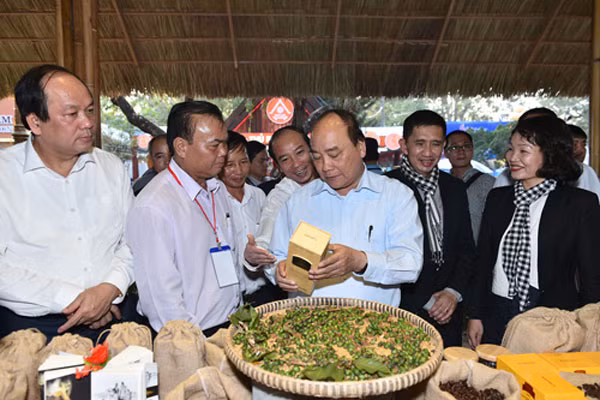 Thu tuong thuong thuc ca phe tai Dak Lak-Hinh-3