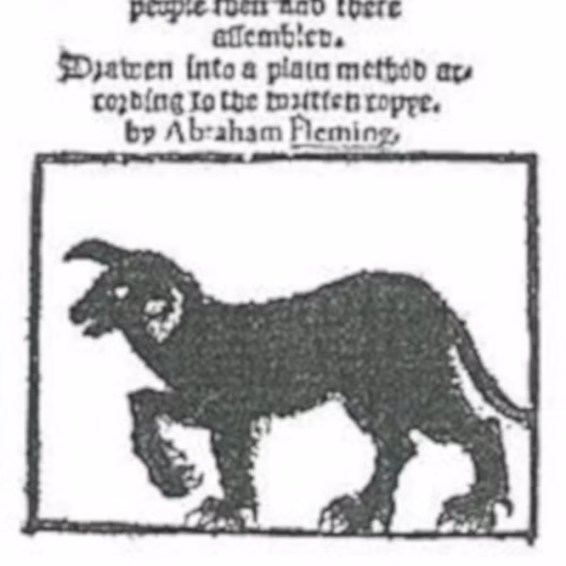 Các nhân chứng cho hay đã nhìn thấy khoảng 20 - 30 con Black Shuck trong suốt 50 ngày liên tục.