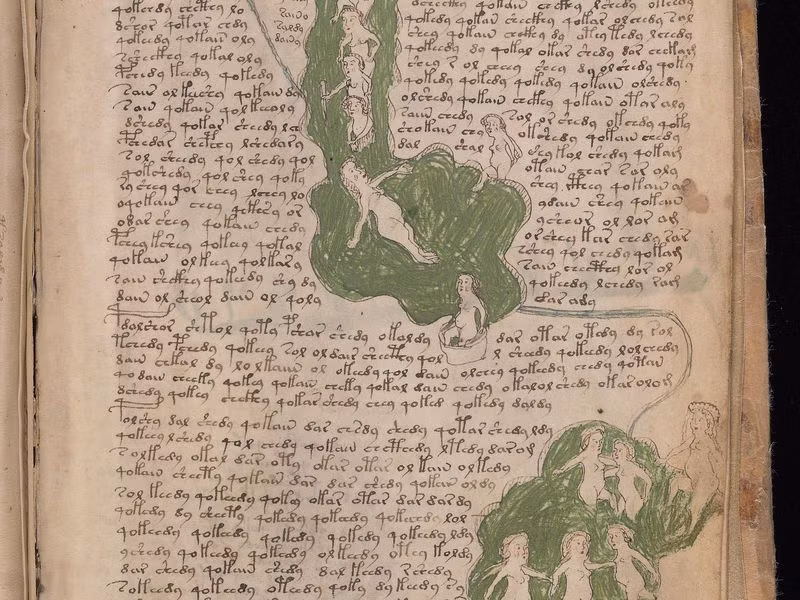 Bên trong bản thảo Voynich trình bày bởi loại ngôn ngữ mà không ai có thể đọc hiểu và chưa từng tìm thấy ở bất kỳ nơi nào.