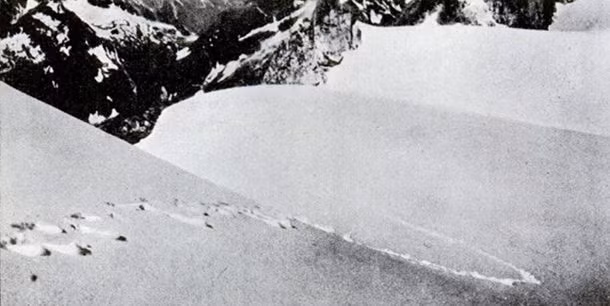 Một số tài liệu chỉ ra, trong thời gian nắm quyền, nhà độc tài Hitler đã thành lập một đoàn thám hiểm tới dãy núi Himalaya ở Tây Tạng từ 1938 - 1939.