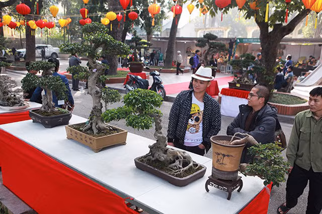 Những ngày giáp Tết Dương lịch, người yêu cây cảnh nghệ thuật thủ đô có dịp chiêm ngưỡng dàn cây cảnh nghệ thuật, có giá trị tại Triển lãm sinh vật cảnh Thủ đô trong Công viên Bách Thảo (Hà Nội).