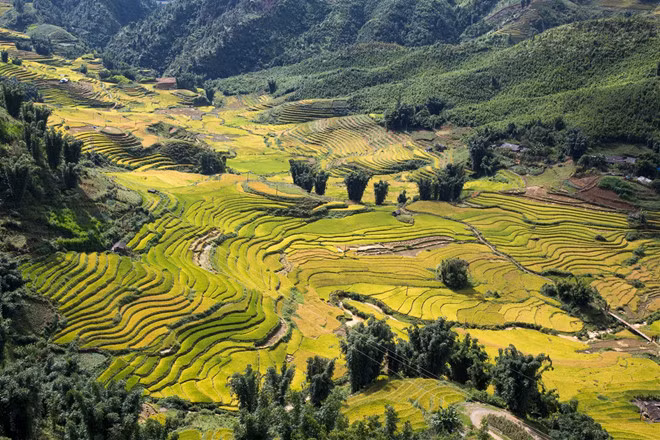 Sa Pa cũng nằm trong top 28 điểm đến hấp dẫn nhất thế giới năm 2019. Danh sách này do National Geographic - tạp chí uy tín của Mỹ công bố.