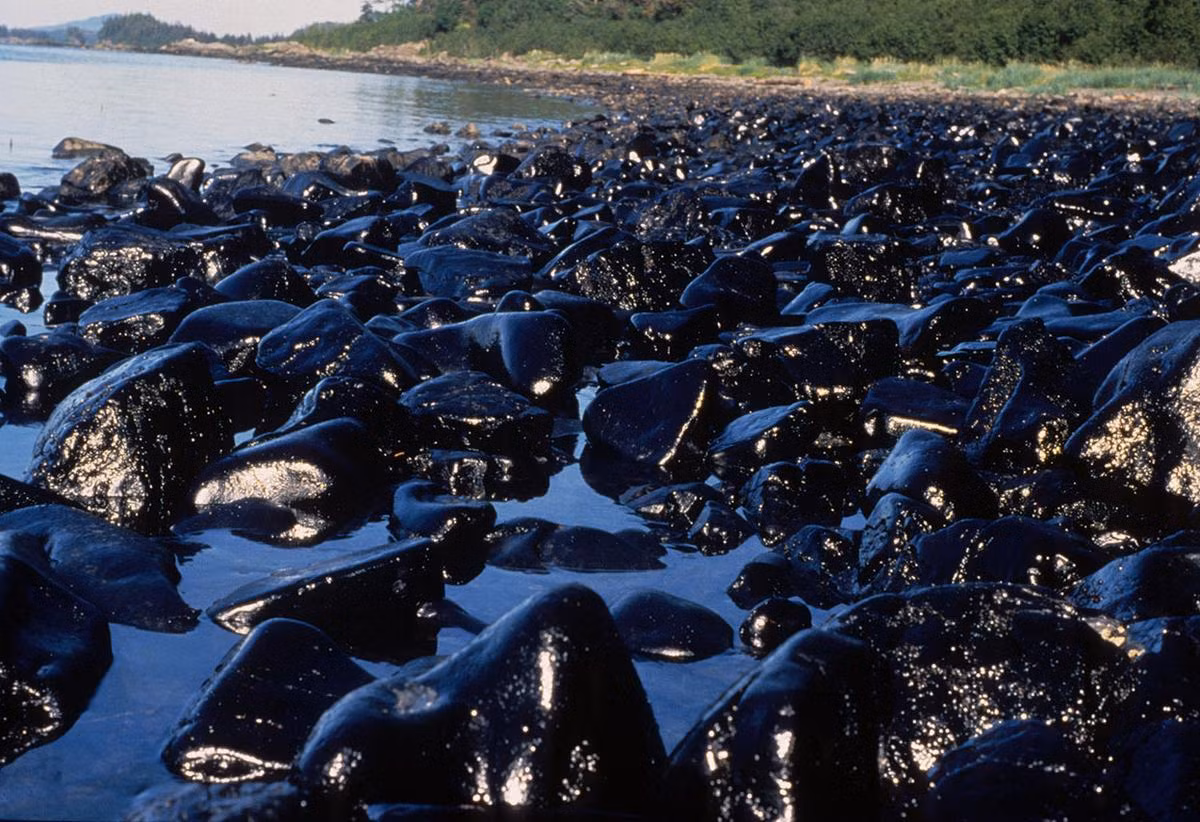 Do vậy, vào năm 1994, tòa án Anchorage tuyên phạt Exxon bồi thường thiệt hại cho các nạn nhân bị ảnh hưởng bởi vụ tràn dầu 5 tỉ USD.