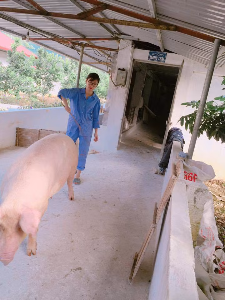 Tuy vậy khi được trực tiếp đỡ đẻ cho từng chú lợn con khiến Minh Hương quên đi những mệt nhọc hàng ngày. Chính vì đam mê và sự ham học hỏi mà cô bạn 9X còn có khả năng đỡ đẻ cho lợn nhanh như cắt.