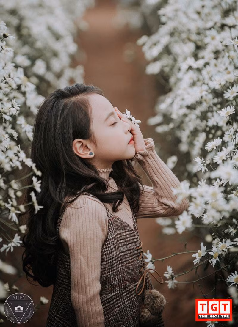 Những short hình ấn tượng, mơ màng của nhóc tỳ 6 tuổi giữa rừng cúc họa mi.