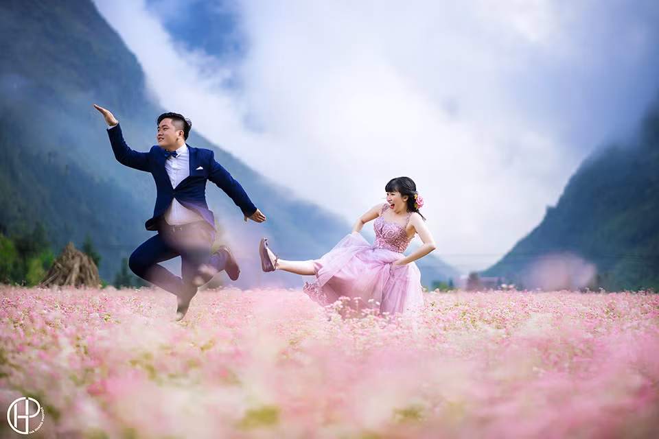  Album ảnh cưới của cặp đôi chụp tại Hà Giang tràn ngập màu sắc đặc trưng của hoa tam giác mạch.