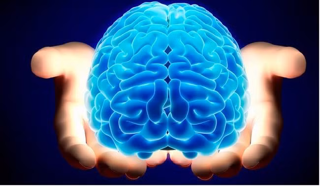 Não điều khiển mọi giác quan của cơ thể người nhưng chính nó lại không có cơ quan giúp cảm nhận nỗi đau. Tức là nếu trực tiếp cầm kim châm vô não thì bạn cũng sẽ không thấy cảm giác gì cả.