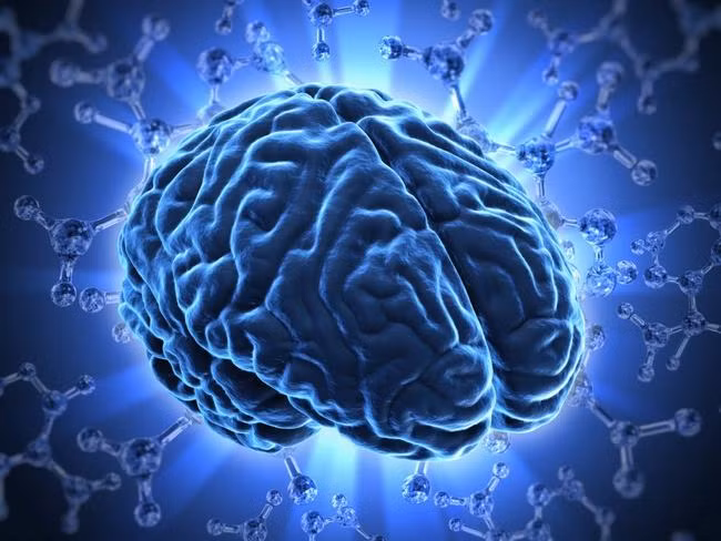 80% thành phần trong não người chỉ là...nước.