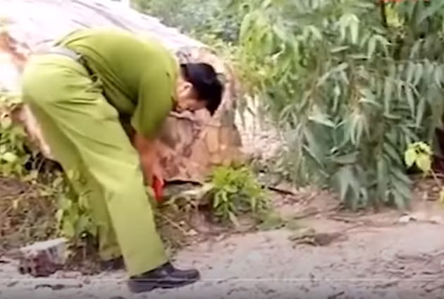 Đây là vụ án rất phức tạp hung thủ dùng vật cứng đánh vào đầu và bóp cổ nạn nhân cho đến chết, không còn dấu vết, chứng cứ để lại hiện trường. Mặt khác, nạn nhân không mang theo giấy tờ tùy thân nên hướng điều tra chưa xác định được cụ thể.