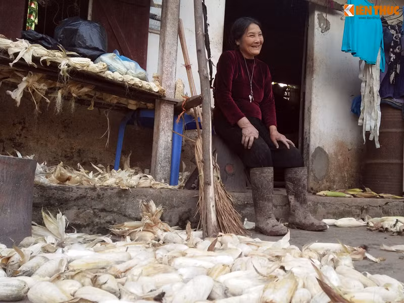 Bà Hợi là con út trong một gia đình nghèo gồm 3 anh chị em nhưng cả hai anh chị em và bố mẹ đều đã mất. Thời còn trẻ, bà Hợi là một thanh niên xung phong xinh đẹp, hăng hái tham gia chiến đấu tại chiến trường Khăm Muộn (Lào). Tuy nhiên, năm 1975, bà Hợi về quê hương do cơ thể bị nhiễm chất độc hóa học nên gia đình phải đi khắp nơi vay mượn tiền nong chữa trị. Bị bệnh tật giày xéo, bà Hợi không lao động được cũng chẳng ai yêu thương nên ở vậy đến bây giờ.