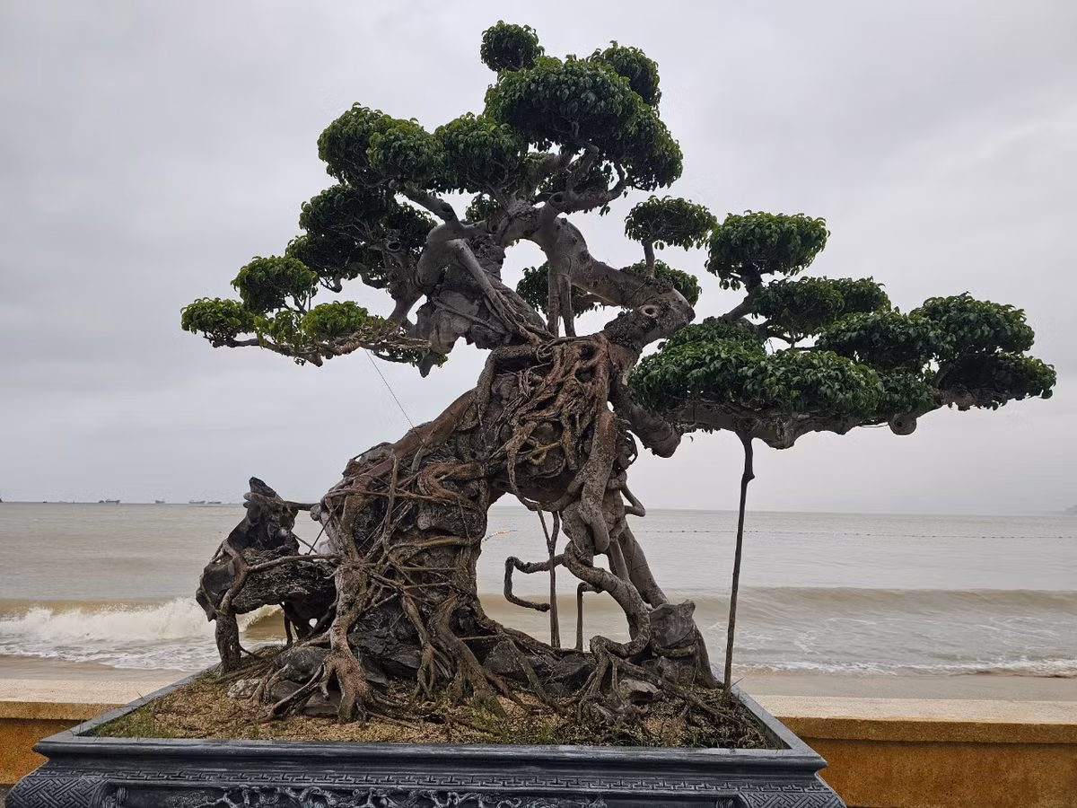 Một tác phẩm đặc sắc, có tuổi đời hàng trăm năm.