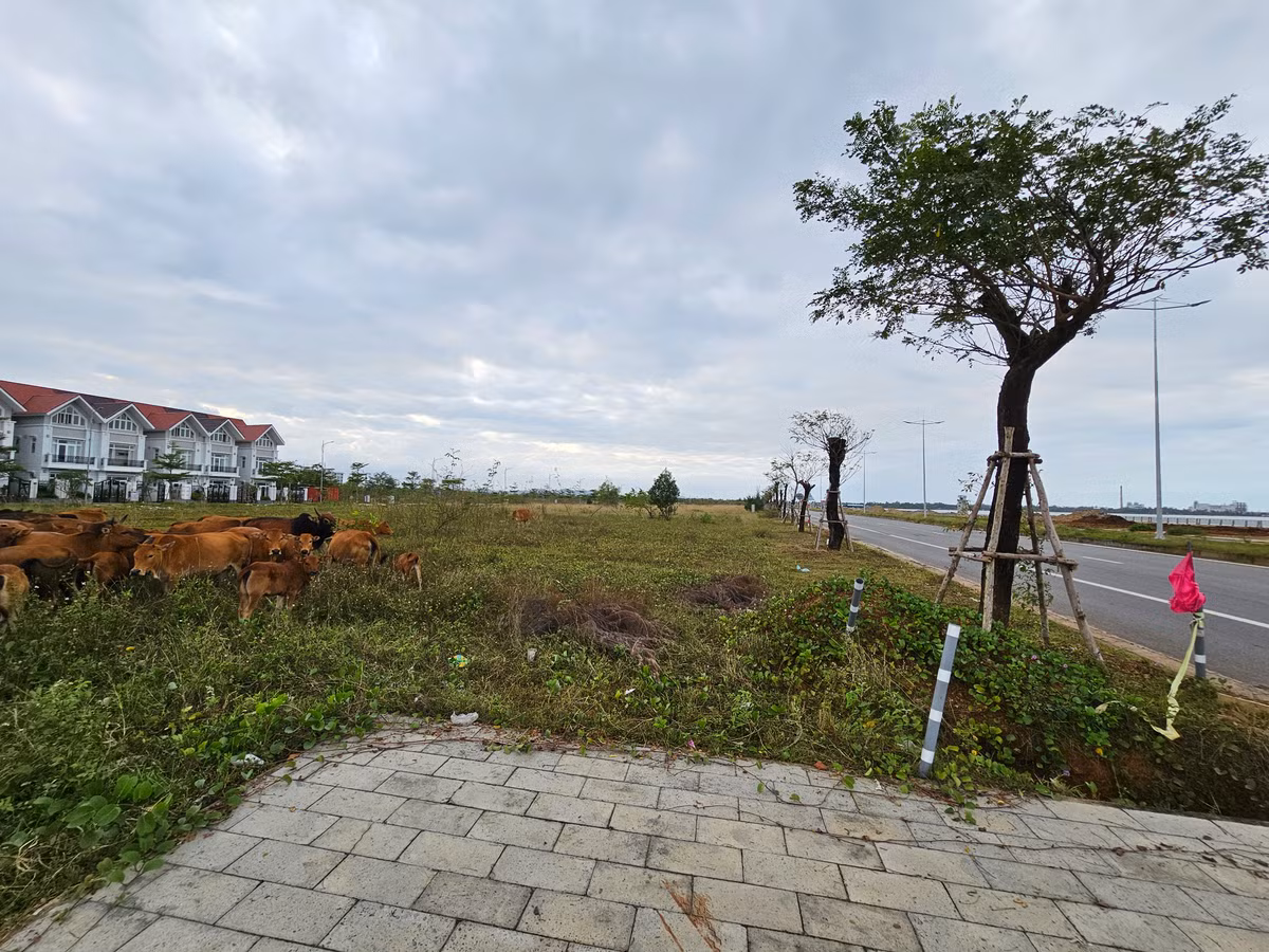 Một môi giới bất động sản tại khu vực này cho biết, giá đất nền đã giảm gần tỷ đồng mỗi lô so với thời "sốt giá" nhưng vẫn "khó chốt".