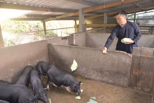 Mot nong dan o Ha Giang het ngheo nho mo hinh kinh te tong hop-Hinh-3