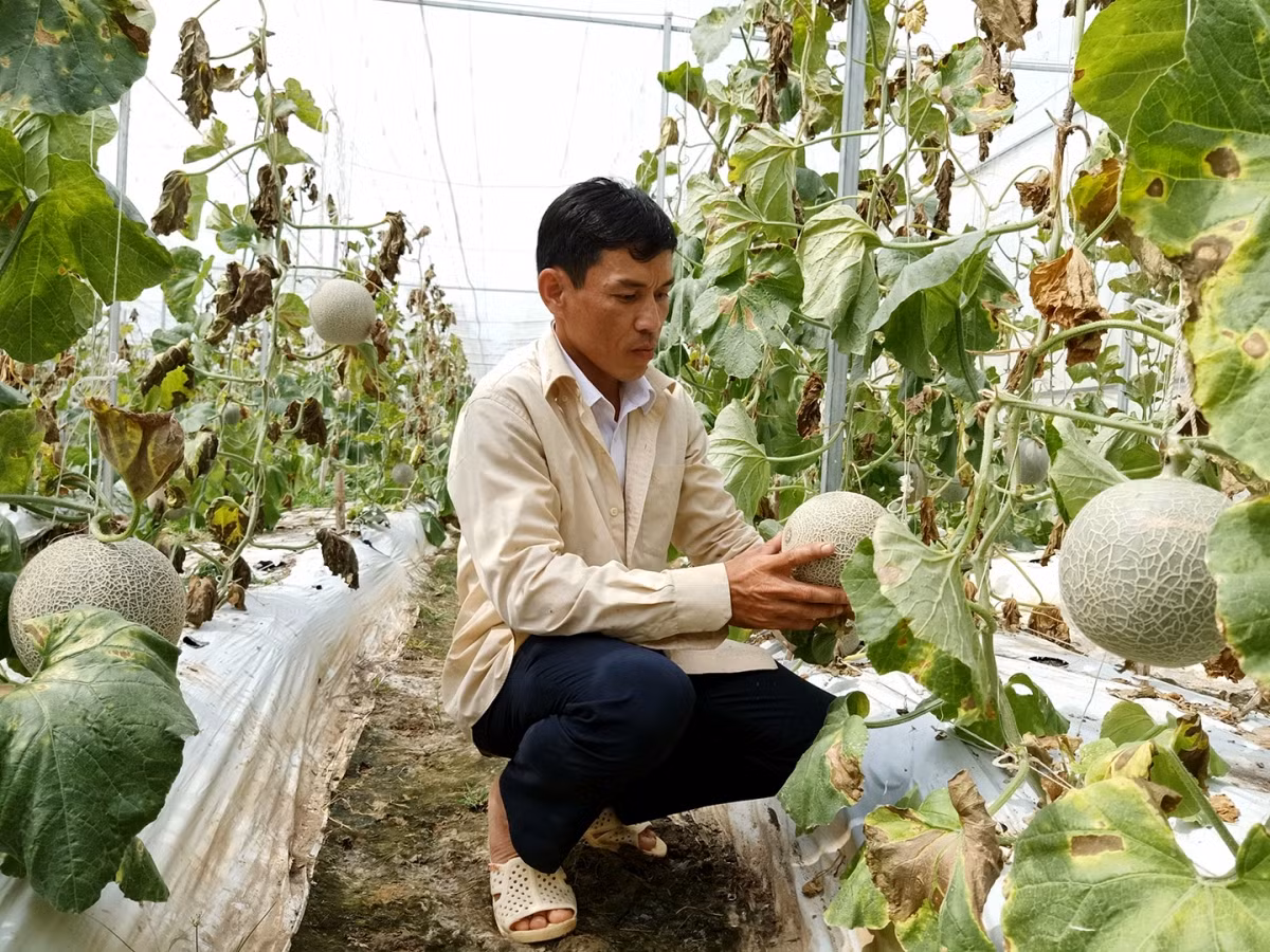 Thu tuong Chinh phu chu tri Hoi nghi so ket hon 3 nam thuc hien Nghi quyet 120-Hinh-4