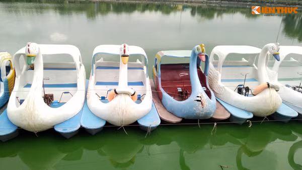 Nhiều hộ kinh doanh ở khu vực hồ Văn Quán cũng rơi vào tình trạng ế ẩm do khách không thể chịu nổi mùi thối.