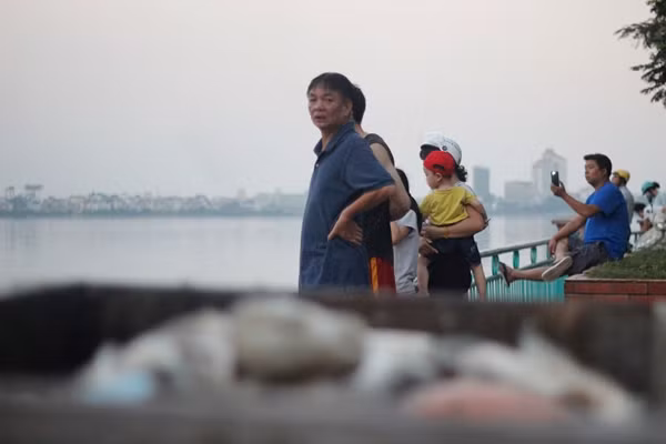 Nhiều người dân sống xung quanh khu vực Hồ Tây không khỏi xót xa nhìn cá chết hàng loạt. Mọi người cho rằng, nguyên nhân dẫn đến cá chết hàng loạt như vậy có thể do nước hồ đang bị ô nhiễm nghiêm trọng.