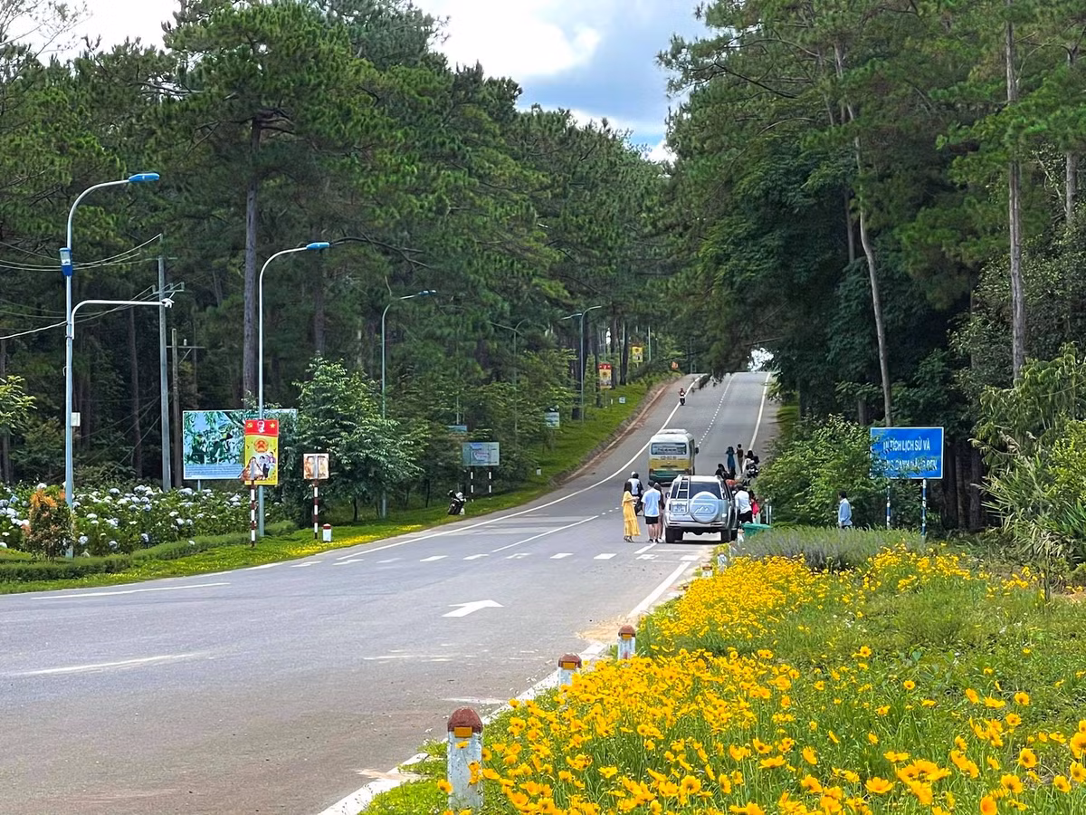 Kon Tum: Tuan Van hoa - Du lich “Hoa Anh Dao giua dai ngan Mang Den”