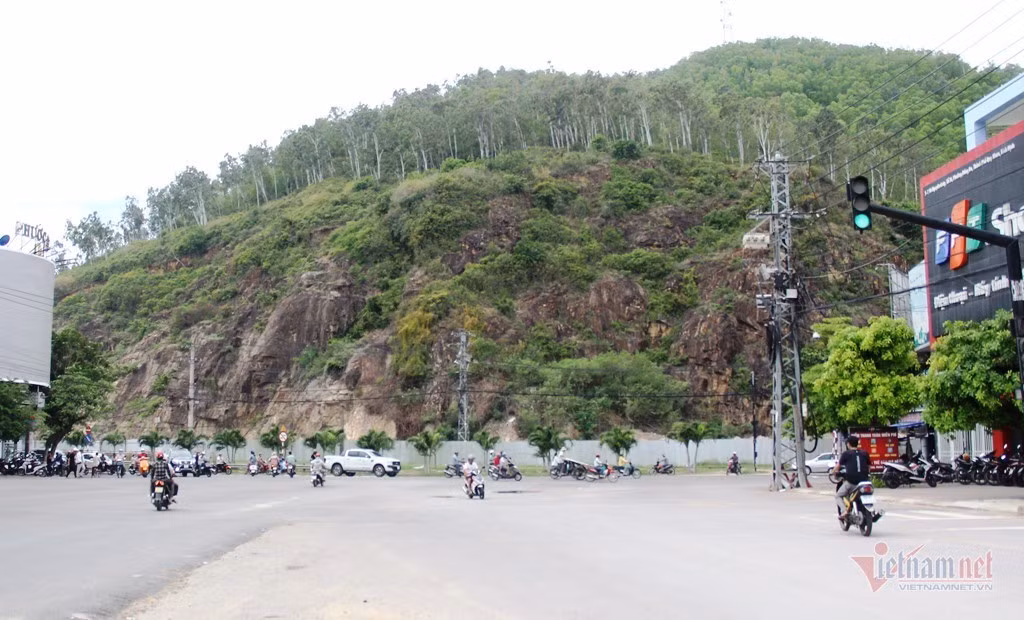 Tam dung trien khai tac phu dieu 86 ty o Binh Dinh-Hinh-4