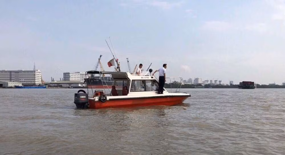 Dang truc vot sa lan dam nhau, chim tren song Sai Gon