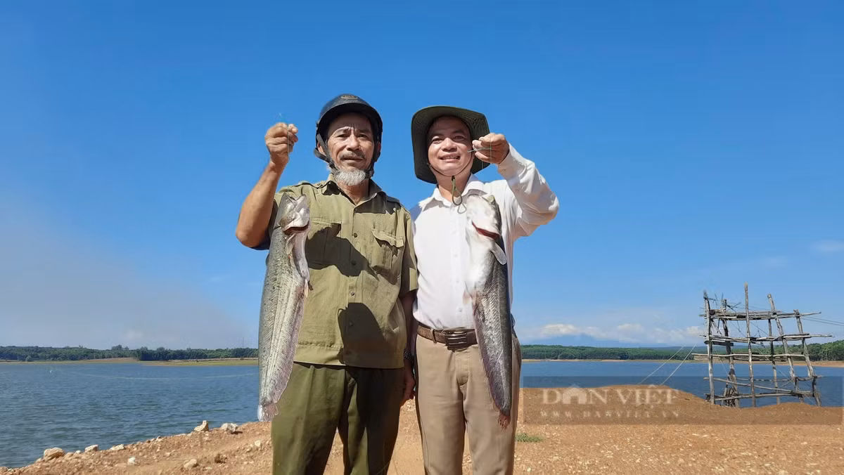 Quang Tri: Ban 85.000 dong/kg hut hang tu viec nuoi ca leo