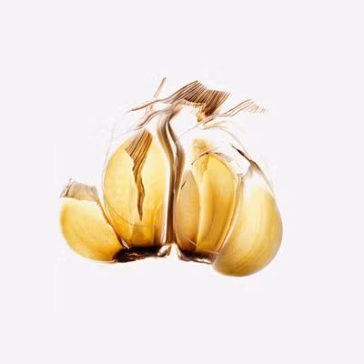 Phytochemical (từ chỉ dưỡng chất từ thực vật, có lợi cho sức khỏe) được tìm thấy trong tỏi có tác dụng ngăn chặn sự hình thành của chất nitrosamine, một chất gây ung thư trong dạ dày, thường có trong các chất bảo quản thực phẩm.