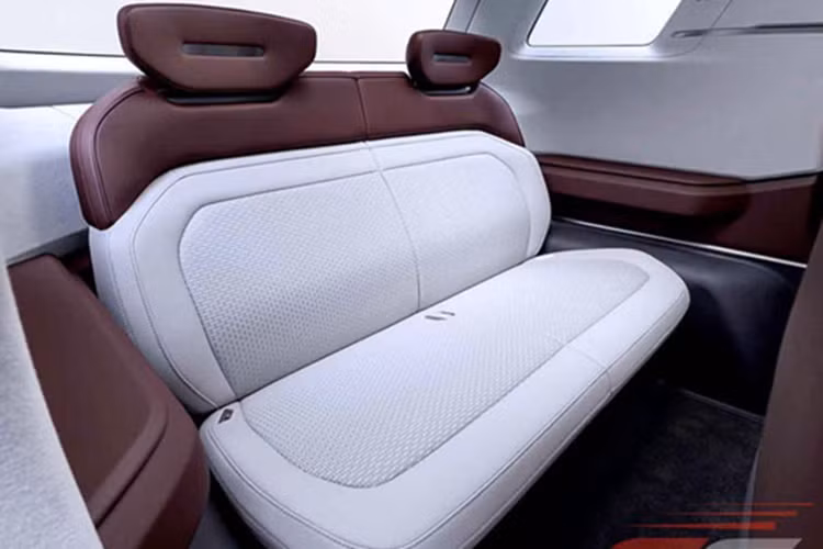 Theo thông tin ban đầu do hãng tiết lộ, nội thất của DST Concept hứa hẹn sẽ mang lại cảm giác rộng rãi, thoải mái và cao cấp hơn nhờ việc sử dụng chất liệu mềm ở nhiều vị trí. Cửa sổ trời toàn cảnh đóng vai trò quan trọng trong việc mang ánh sáng tự nhiên vào khoang cabin.