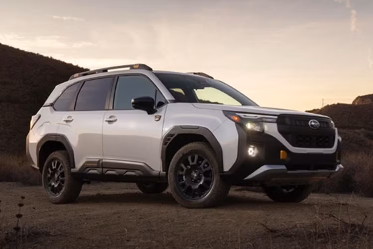 Mẫu xe SUV Subaru Forester Wilderness còn có các điểm nhấn màu đồng ở nắp móc kéo, đèn sương mù LED hình lục giác, tấm bảo vệ gầm và giá nóc tiêu chuẩn chịu tải trọng tĩnh lên đến 362 kg.