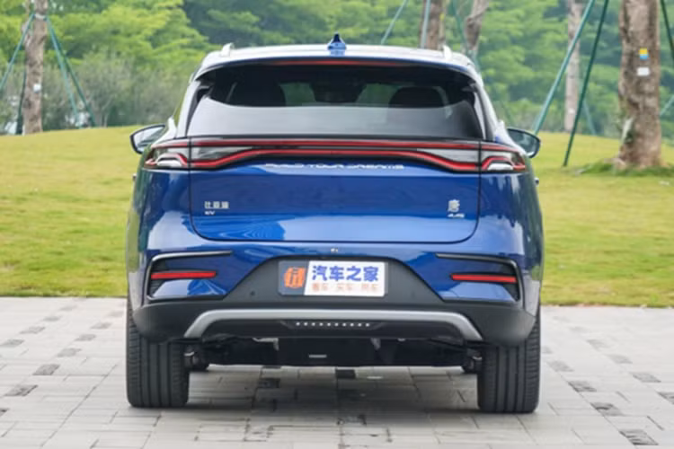 Ngoài ra, yếu tố về thương hiệu và hạ tầng trạm sạc cũng là điều khiến khách hàng cân nhắc khi chọn mua mẫu xe này. 