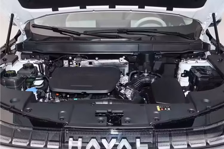 Về hệ thống truyền động, công nghệ Hi4 thế hệ thứ hai của GWM là công nghệ tiêu chuẩn trên toàn bộ dòng sản phẩm, kết hợp với DHT 2 tốc độ, động cơ 1.5L 85 kW (114 mã lực)/140 Nm, tiếp đó là động cơ đồng bộ nam châm vĩnh cửu phía trước 70 kW (94 mã lực)/110 Nm, còn động cơ đồng bộ nam châm vĩnh cửu phía sau 150 kW (201 mã lực)/350 Nm.