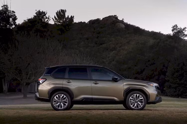 Dung tích khoang hành lý của Subaru Forester 2025 tương đương với đời trước, khoảng 500 lít, đi kèm các móc treo, đai ốc tiện ích để gắn phụ kiện và cốp sau đóng/mở rảnh tay tùy chọn. Subaru cũng chú trọng đến tầm nhìn bên ngoài khi hạ thấp nắp ca-pô và chân cột A, thu gọn gương chiếu hậu cũng như thiết kế lại cần gạt mưa để giảm cản trở khả năng quan sát của người lái.