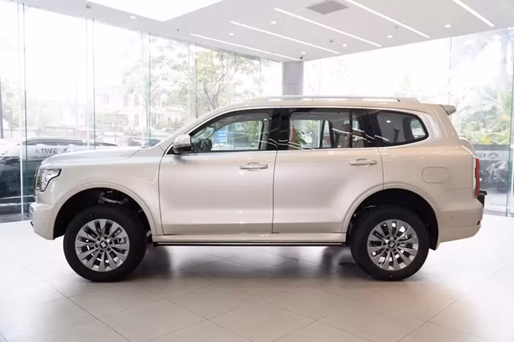 Hiện thời điểm ra mắt và giá bán của Tank 500 tại Việt Nam vẫn chưa được công bố. Tuy nhiên, theo tin đồn, xe sẽ có giá ưu đãi dành cho lô đầu tiên về Việt Nam là 2,137 tỷ đồng. Nếu giá bán này là chính xác thì Tank 500 rẻ bằng một nửa của Toyota Land Cruiser (4,286 tỷ đồng).