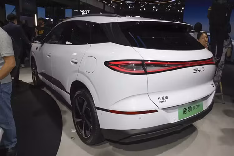 Trong tương lai, BYD có kế hoạch chuẩn hóa cách đặt tên với tất cả các mẫu sedan sẽ mang tên "Seal" và tất cả các mẫu SUV sẽ mang tên "Sealion". BYD sẽ phát triển một ma trận sản phẩm toàn diện, từ xe nhỏ đến lớn, trong hai danh mục tên gọi này.