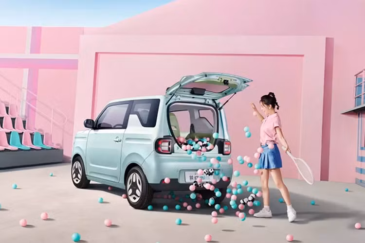 Ưu điểm lớn nhất là mức giá xe Geely Panda Mini 2025 bán cực kỳ rẻ, chỉ từ 29.900 Nhân dân tệ (khoảng 104 triệu đồng). Các phiên bản pin lớn sẽ có giá từ 49.900 - 53.900 Nhân dân tệ (khoảng 174 - 188 triệu đồng). Nội thất và tính năng an toàn mới cũng đã được áp dụng cho các phiên bản Panda Knight và Panda Kart.