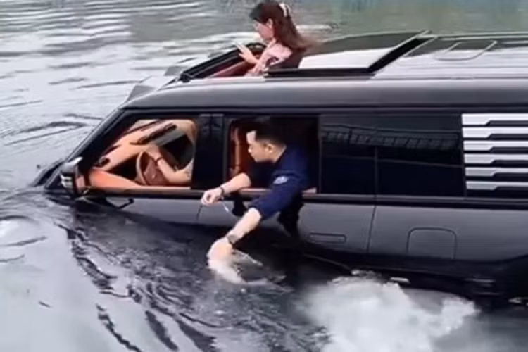 YangWang là thương hiệu con của BYD. Vào tháng 2/2024, hãng đã ra mắt mẫu xe điện thể thao YangWang U9 với giá khoảng 1,68 triệu NDT triệu NDT (tương đương 5,8 tỷ đồng). Cung cấp sức mạnh cho YangWang U9 là bốn động cơ điện, mỗi động cơ có công suất 322 mã lực, cho tổng sức mạnh lên tới 1.287 mã lực.