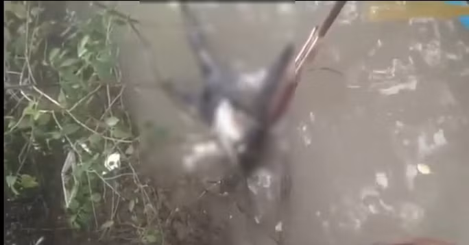  Phát hiện thi thể không đầu, mất 2 bàn tay trôi trên sông: Ngày 10/5, UBND xã Viên An Đông, (Ngọc Hiển, Cà Mau) cho biết, người dân địa phương vừa phát hiện thi thể không có đầu, mất 2 bàn tay và trên lưng còn có tấm kim loại màu trắng… Sau khi hoàn tất khám nghiệm tử thi, cơ quan chức năng đã bàn giao thi thể đang trong tình trạng phân hủy cho địa phương tổ chức an táng.
