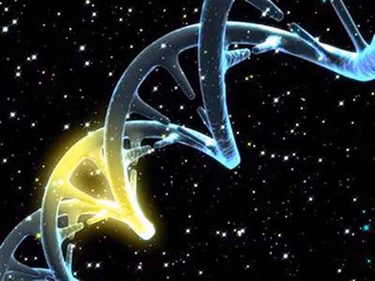  Thực tế, bất cứ lúc nào DNA cũng có thể xuất hiện lỗi, tiến hành sửa chữa, sao chép, methyl hóa (quá trình chuyển hóa các nhóm methyl vào sợi DNA và làm thay đổi DNA). Quá trình methyl hóa diễn ra chậm chạp đồng nghĩa với việc DNA khó có thể “sửa chữa” kịp thời, lâu ngày tích tụ khiến bạn đối diện với nguy cơ ung thư cao. 
