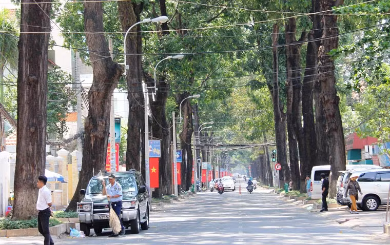 Đường Pasteure từ trung tâm thành phố dẫn ra ngoại thành có hàng nghìn cây xanh 2 bên đường.