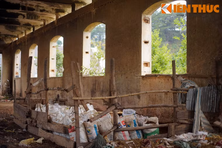 Các khung cửa rộng đã bị tháo hết cánh khiến không gian rất cô quạnh.