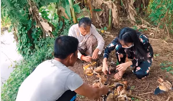 Việc treo ngược đàn cò lên như vậy theo nhiều người có thể khiến chúng bị đau và tiềm ẩn nhiều nguy hiểm khi di chuyển một quãng đường dài đến chỗ phóng sinh.