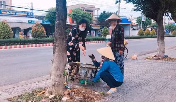 Thủy Tiên vừa bị cư dân mạng "đào lại" clip treo ngược đàn cò lửa bên ngoài ô tô để mang đi phóng sinh. Nhiều người cảm thấy bất bình vì đây không phải là làm việc thiện.