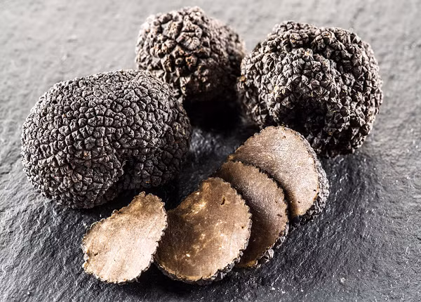 Được mệnh danh là "vua của các loại nấm" hay "kim cương đen", truffle (nấm cục) luôn được giới quý tộc ngày xưa chuộng và săn lùng bởi chất lượng dinh dưỡng và hương vị đặc biệt mà loại nấm này mang lại.