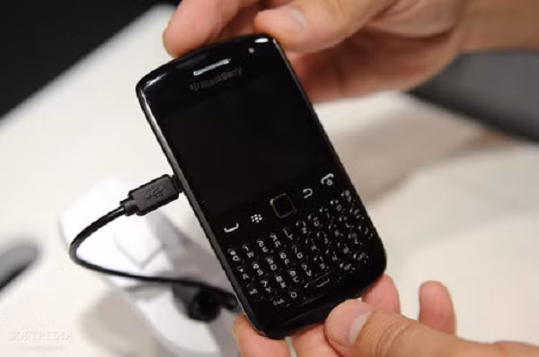 BlackBerry Curve là cú hích thực sự đầu tiên của công ty mẹ Research In Motion trong việc thu hút thị trường đại chúng. Curve là món hàng cực kỳ thành công của RIM, hãng đã tiếp tục tạo ra nhiều model Curve trong những năm sau.