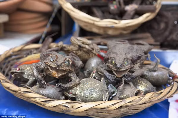 Chợ phù thủy Mercado de las Brujas bán các loại bùa chú, những loại cây chữa bệnh, xác ếch khô và vô số đồ lưu niệm, đồ thủ công mỹ nghệ như những bức tượng nhỏ khắc từ gỗ, đá...