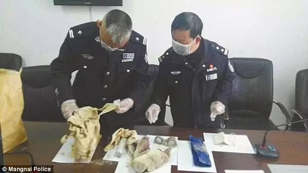Các nhà nghiên cứu đã tiến hành thí nghiệm với miếng ngọc bội này bằng một con cá. Kết quả là miếng ngọc đã sao chép ra một con cá giống hệt với con cá ban đầu. Sau đó họ thử đánh dấu vào một bên thân của con cá được sử dụng trong thí nghiệm và sau khi được sao chép, con cá được tạo ra cũng có vết đánh dấu tương tự với con cá gốc nhưng ở bên ngược lại.