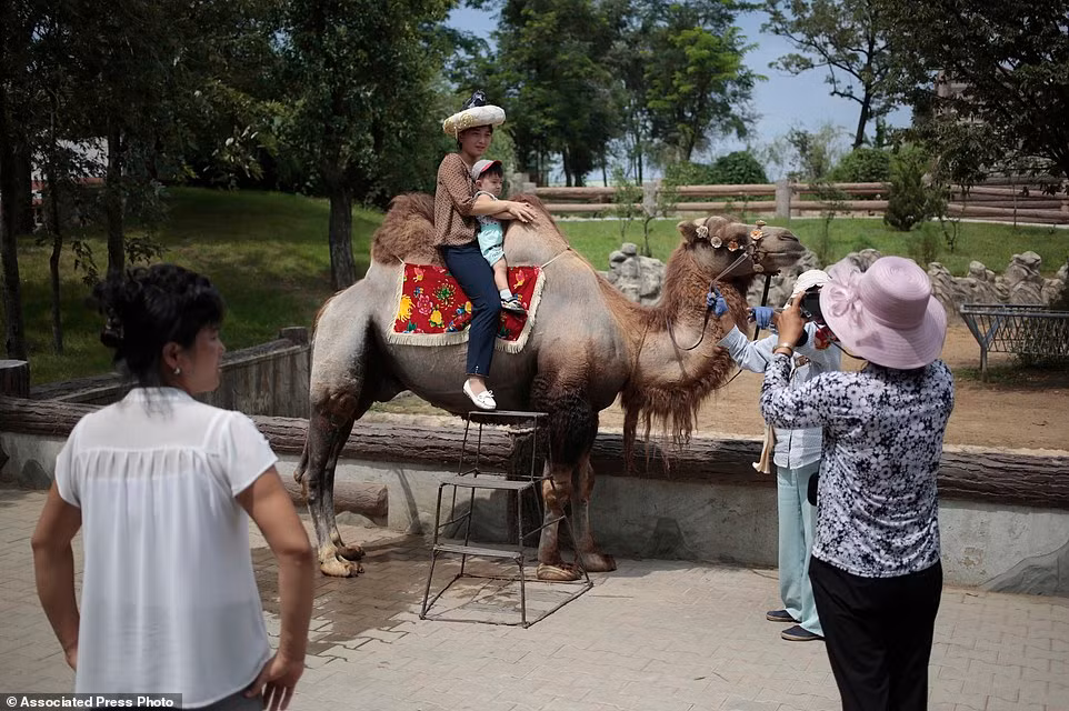 Du khách chụp ảnh cưỡi trên lưng lạc đà trong vườn thú ở thành phố Bình Nhưỡng.