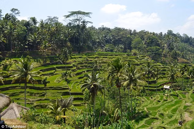 10. Đảo Bali, Indonesia.